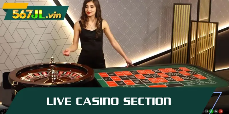 Experience the class with online gambling platform